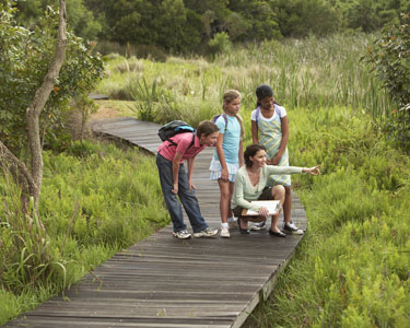 Kids Brevard County: Nature and Animal - Fun 4 Space Coast Kids