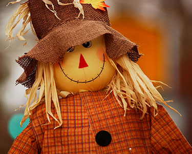Kids Brevard County: Halloween and Fall Displays - Fun 4 Space Coast Kids