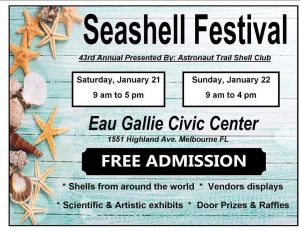 Seashell Festival 2023