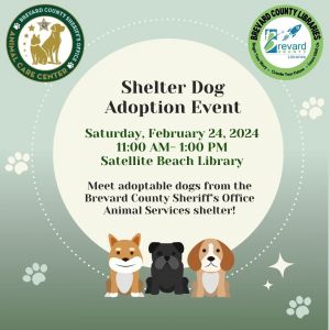 Shelter Dog Adoption Event.jpg