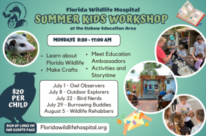 Summer-Kids-Workshop-Website-Popup-800x533.png