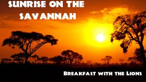 Sunrise on the Savannah (FB COVER PHOTO).jpg