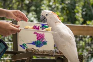 happy hour bird.jpg