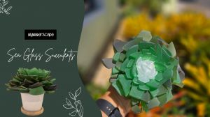 sea glass.jpg