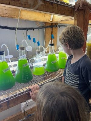 hatchery.jpg