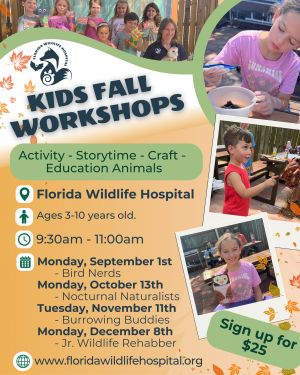 fall workshop.jpg