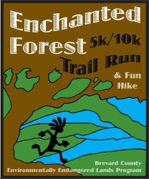 enchanted forest.jpg
