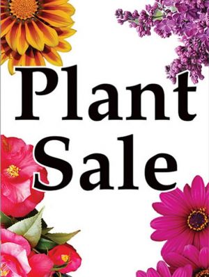 plant sale.jpg
