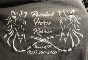 painted horse rescue.jpg