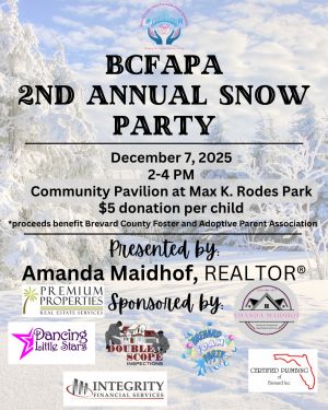 Snow Party Flyer