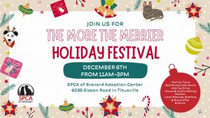 SPCA Brevard Holiday Festival 25.jpeg