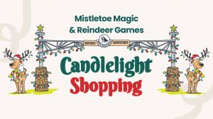 Dwtn Melbourne Reindeer Games.jpeg