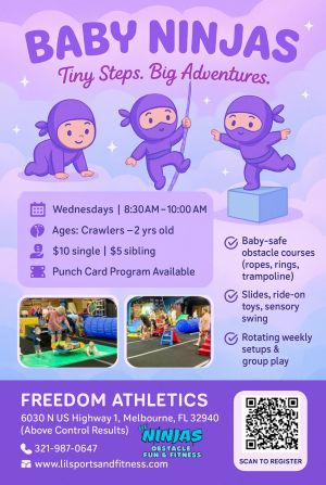 BabyNinjas.jpg