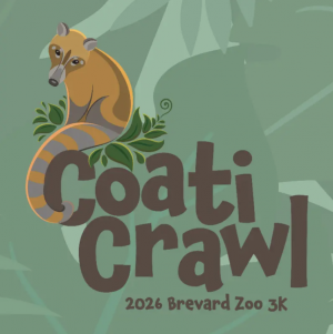 Fit Mom family run.jpg