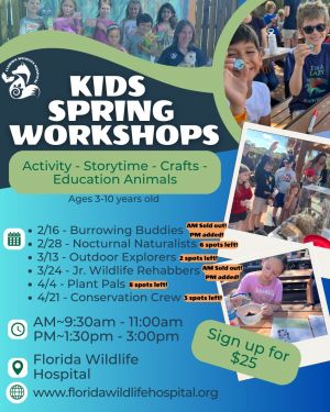 flwildlife hosptial spring.jpg