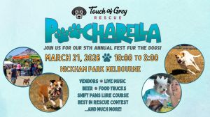 Touch of Grey Rescue