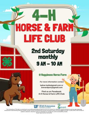 painting with ponies.jpg