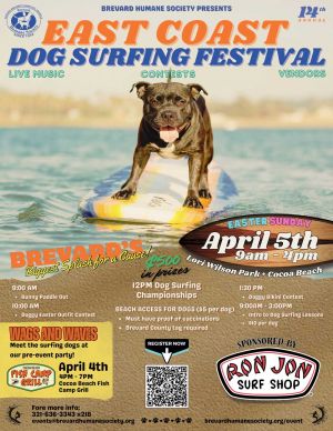 14th Annual East Coast Dog Surfing Festival sponsored by Ron Jon Surf Shop