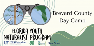 Screenshot 2026-03-10 at 8.01.11 PM.png