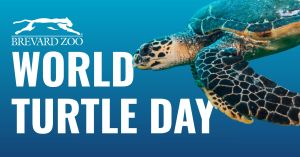 brevard zoo world turtle day.jpg