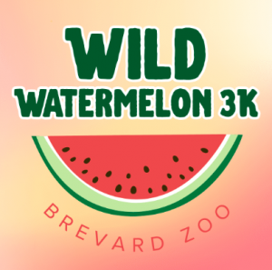 brevard zoo wild watermelon.png