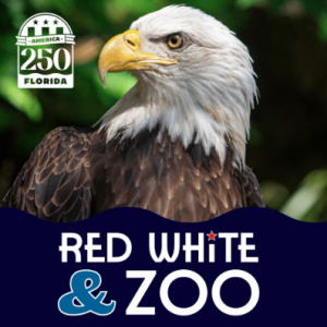 zoo red white and zoo.png