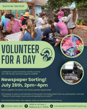 Summer-Kids-Workshop-Website-Popup-800x533.png