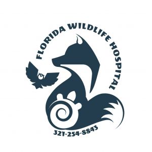 wildlife.jpg