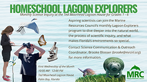 lagoon.jpg