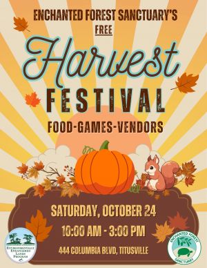 harvest fest.jpg