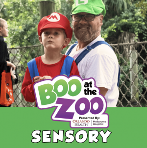 sensory.jpg