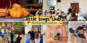 rockledge gardens little bugs.jpg