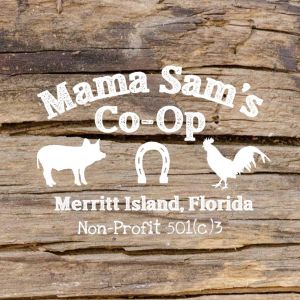 Mama Sam's Co-Op & Non-Profit