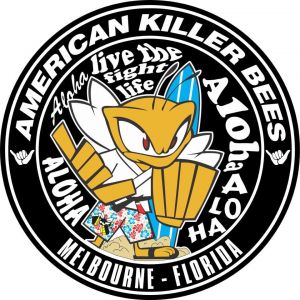 American Killer Bees HQ - Martial Arts Camp
