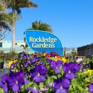 Rockledge Gardens Little Bugs Club Winter Break Camp