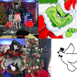 Christmas Magic Show and Grinch Appearance: Magic Dove Magic Shop