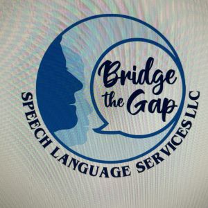 Bridge The Gap Speech Language Services LLC