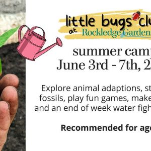 Rockledge Gardens Little Bugs Club Summer Camp