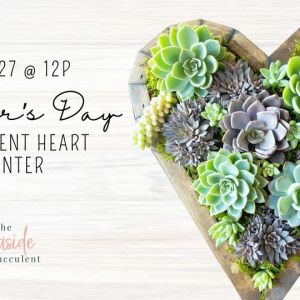 The Seaside Succulent: Mother's Day Succulent Heart Planter
