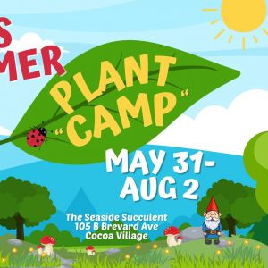 Seaside Succulent, The: Summer Plant Camp