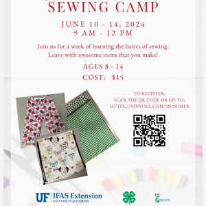 4-H Beginning Sewing Camp