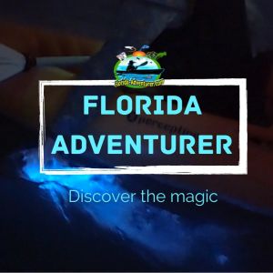 Florida Adventurer | Kayak Tours (Florida Bioluminescence)