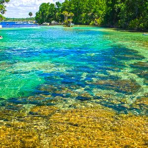 Salt Springs