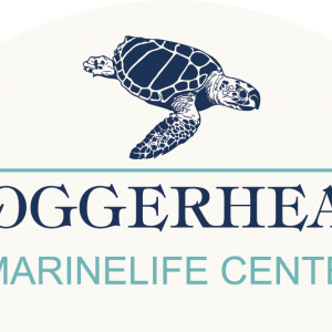 Martin County:  Loggerhead Marinelife Center