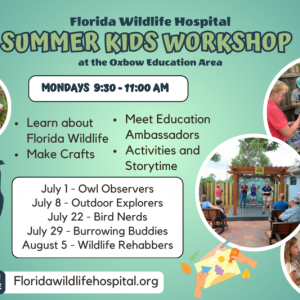 Florida Wildlife Hospital - Summer Kids Workshop