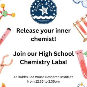 Stella Maris Environmental Research: High School Chemistry Labs