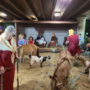 Our Lady of Lourdes Live Nativity