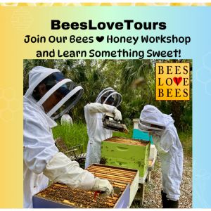 BeesLoveBees Tour