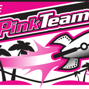 The Pink Team STEM and Robotics Camps