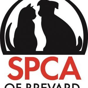 SPCA of Brevard Summer Camp